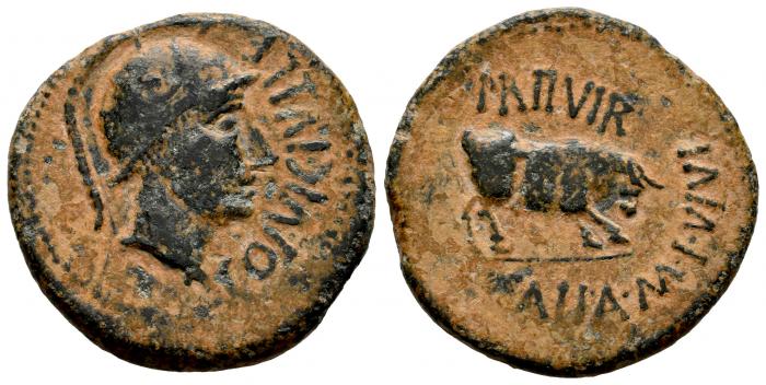 Celtiberian Coins