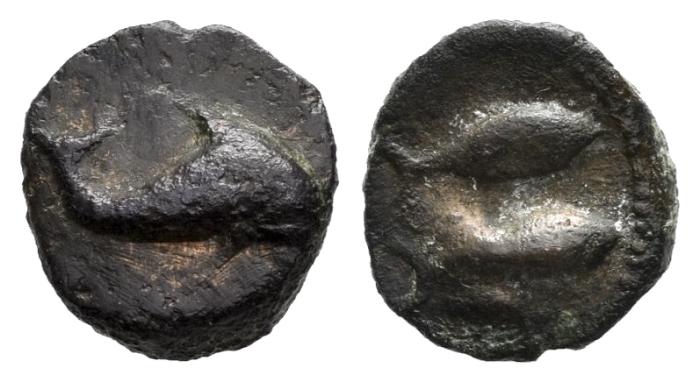 Celtiberian Coins