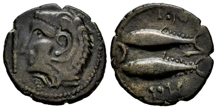 Celtiberian Coins