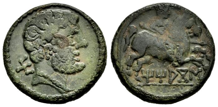 Celtiberian Coins