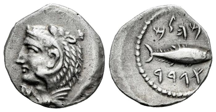 Celtiberian Coins