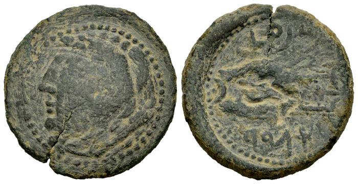 Celtiberian Coins