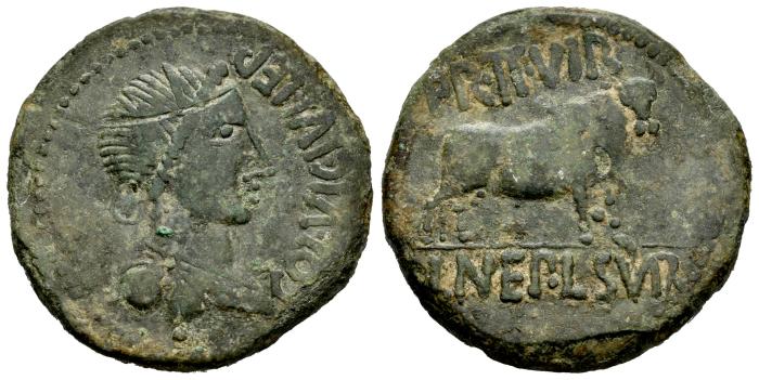 Celtiberian Coins