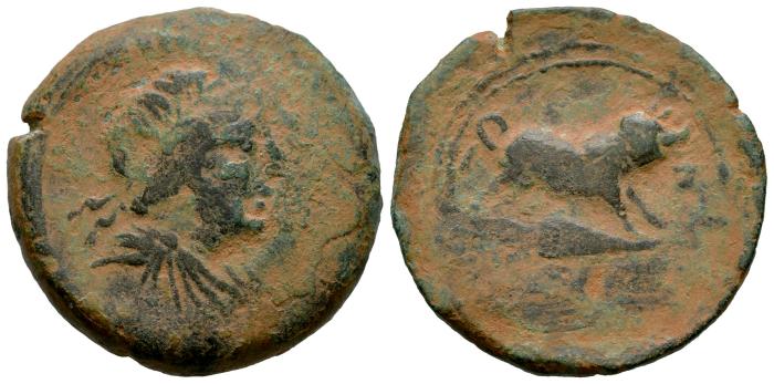 Celtiberian Coins