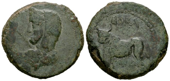 Celtiberian Coins