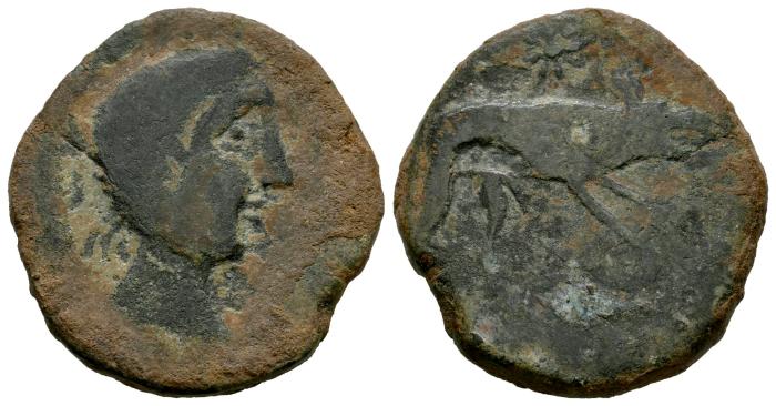 Celtiberian Coins