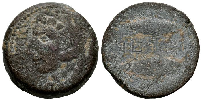 Celtiberian Coins