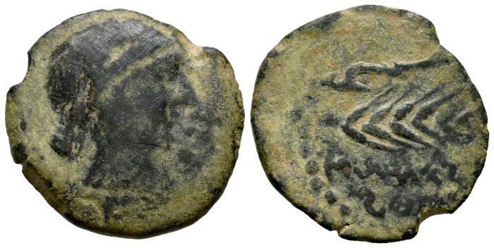 Celtiberian Coins