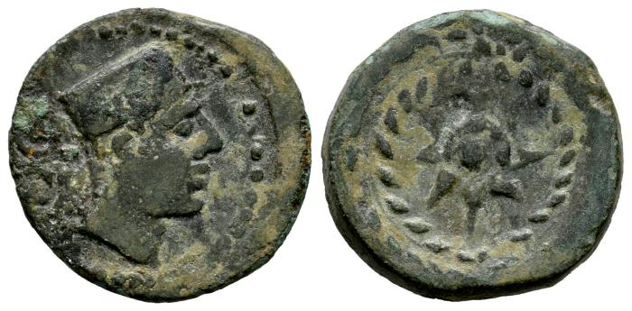 Celtiberian Coins