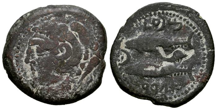 Celtiberian Coins