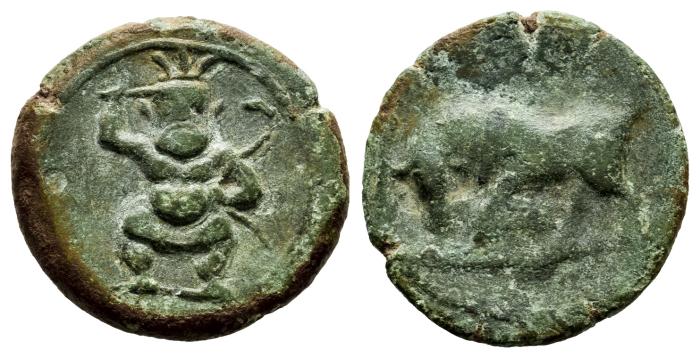 Celtiberian Coins