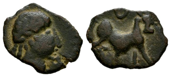 Celtiberian Coins