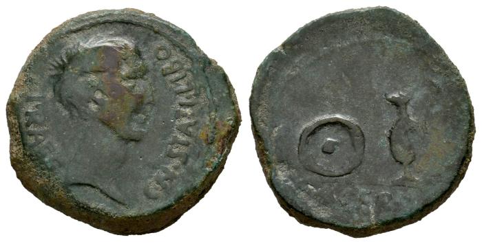 Celtiberian Coins