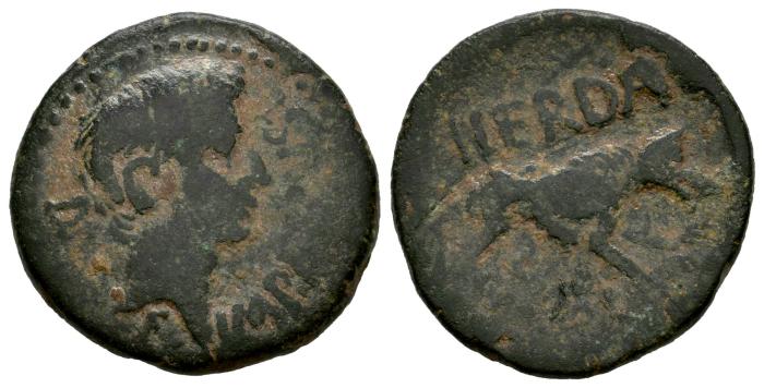 Celtiberian Coins