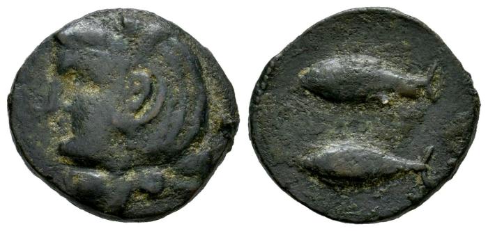 Celtiberian Coins