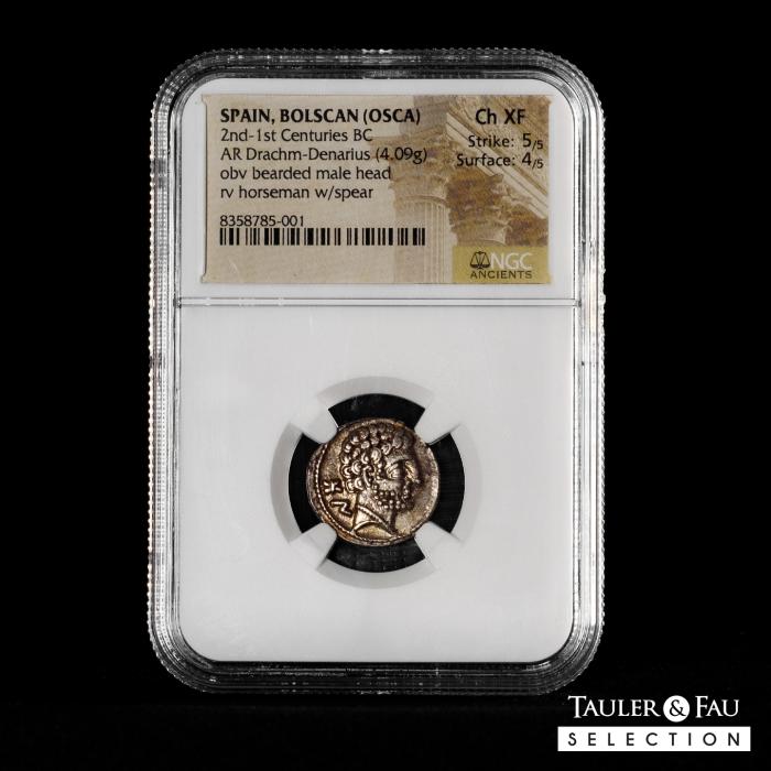 Celtiberian Coins