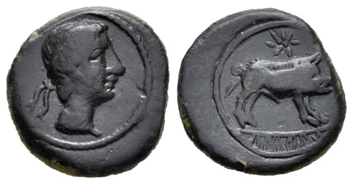 Celtiberian Coins