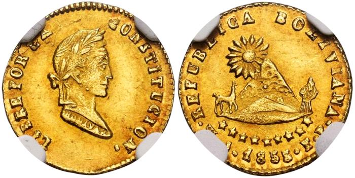 World Coins