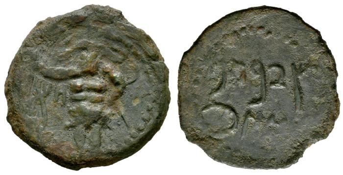 Celtiberian Coins