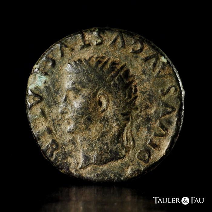 Celtiberian Coins