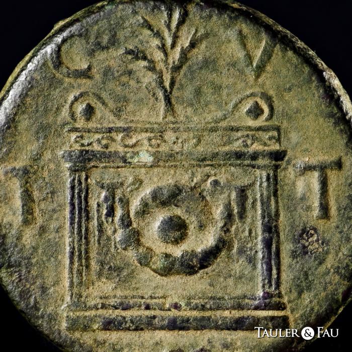 Celtiberian Coins