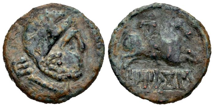 Celtiberian Coins