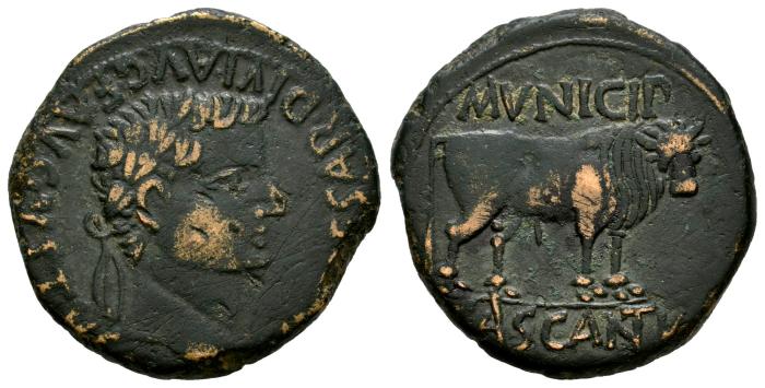 Celtiberian Coins
