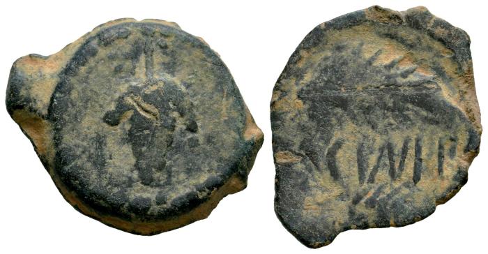 Celtiberian Coins