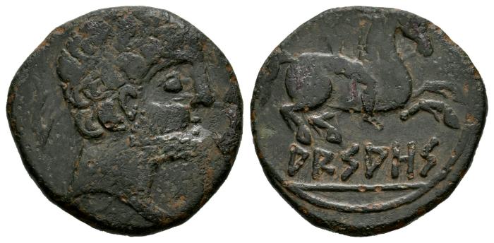 Celtiberian Coins