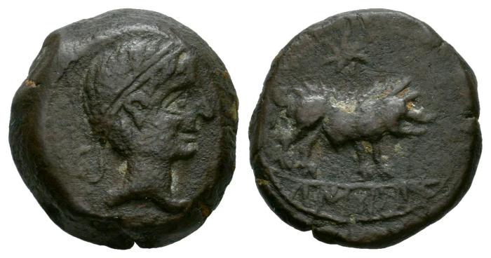 Celtiberian Coins