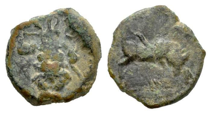 Celtiberian Coins