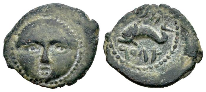 Celtiberian Coins