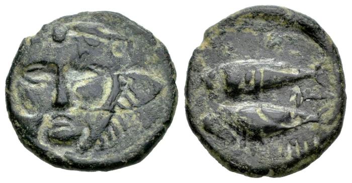 Celtiberian Coins