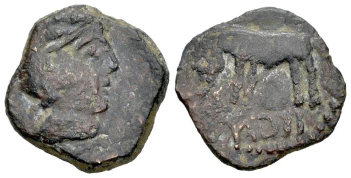 Celtiberian Coins