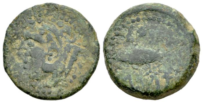 Celtiberian Coins