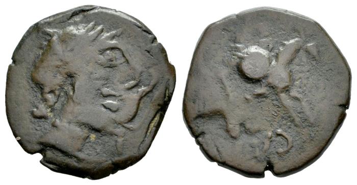 Celtiberian Coins