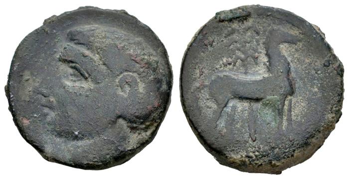 Celtiberian Coins