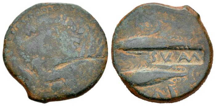Celtiberian Coins