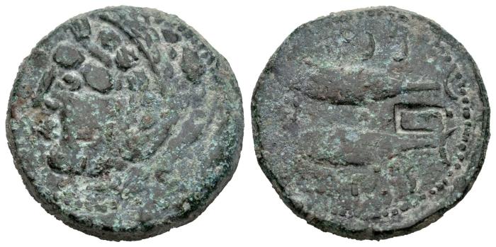 Celtiberian Coins