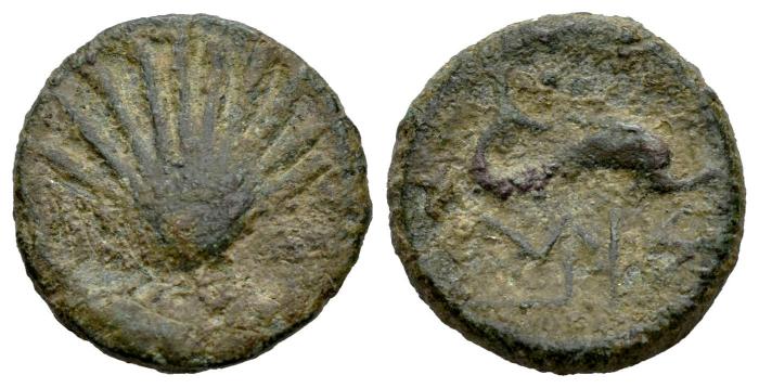 Celtiberian Coins