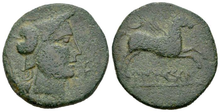 Celtiberian Coins