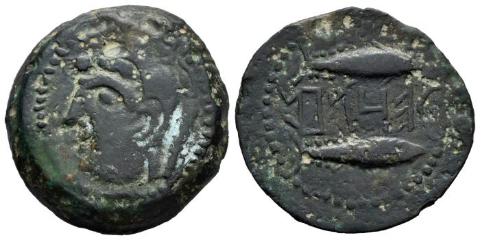 Celtiberian Coins