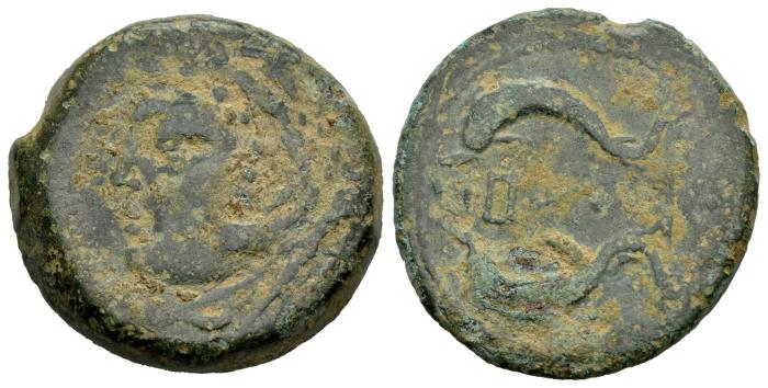 Celtiberian Coins