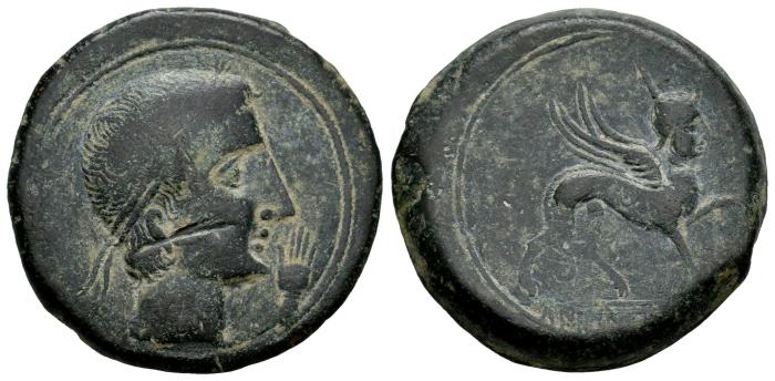 Celtiberian Coins