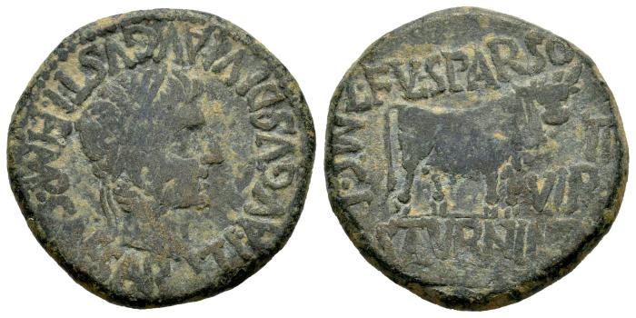 Celtiberian Coins