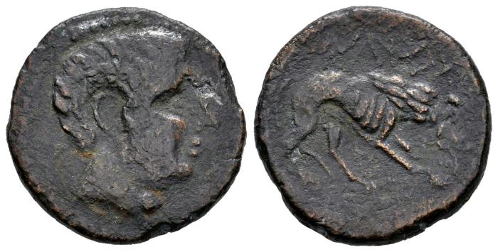 Celtiberian Coins
