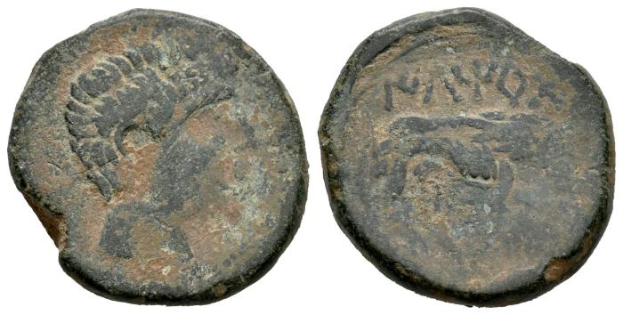 Celtiberian Coins