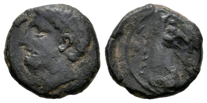 Celtiberian Coins