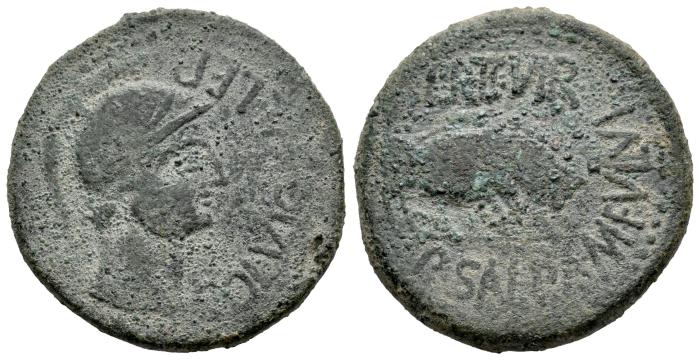 Celtiberian Coins