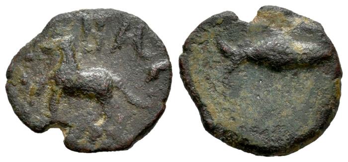 Celtiberian Coins